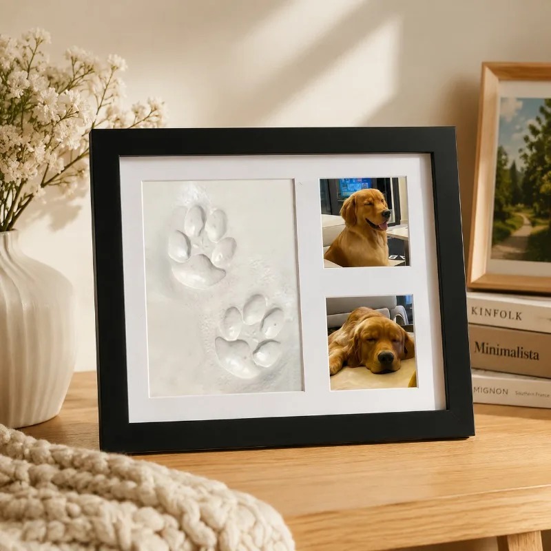 Kit Conmemorativo DIY para Hue - Photographic Memory reseña y precio